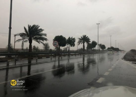 NCM predicts dense fog in Abu Dhabi, rain on Sunday.