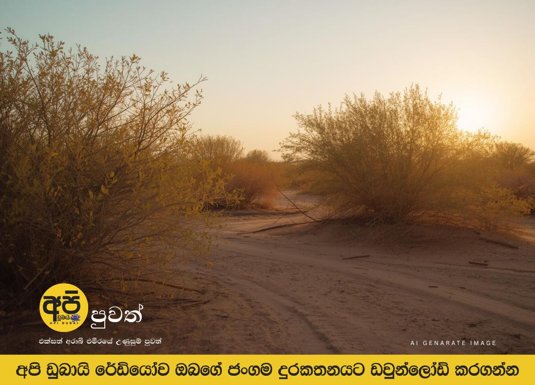 එක්සත් අරාබි එමීර් රාජ්‍යයේ සරත් සමය නිල වශයෙන් ආරම්භ වන්නේ සැප්තැම්බර් 22 වනදා ය.