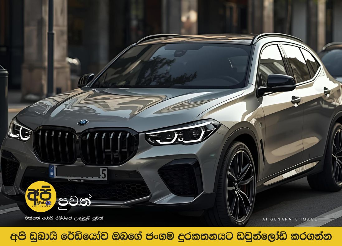 BMW සොරකමේ වරදකරුට සිර දඬුවම්