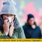 එක්සත් අරාබි එමීර් රාජ්‍යයේ උණ වසංගතය පිළිබඳ අනතුරු ඇඟවීම්.