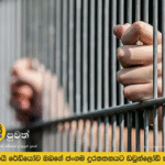 මත්ද්‍රව්‍ය ජාවාරම සම්බන්ධයෙන් පුද්ගලයින් දෙදෙනෙකුට ජීවිතාන්තය දක්වා සිර දඬුවම්,