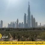 හෙට එක්සත් අරාබි එමීර් රාජ්‍යයේ කාලගුණය: උෂ්ණත්වය පහත වැටෙනු ඇත.