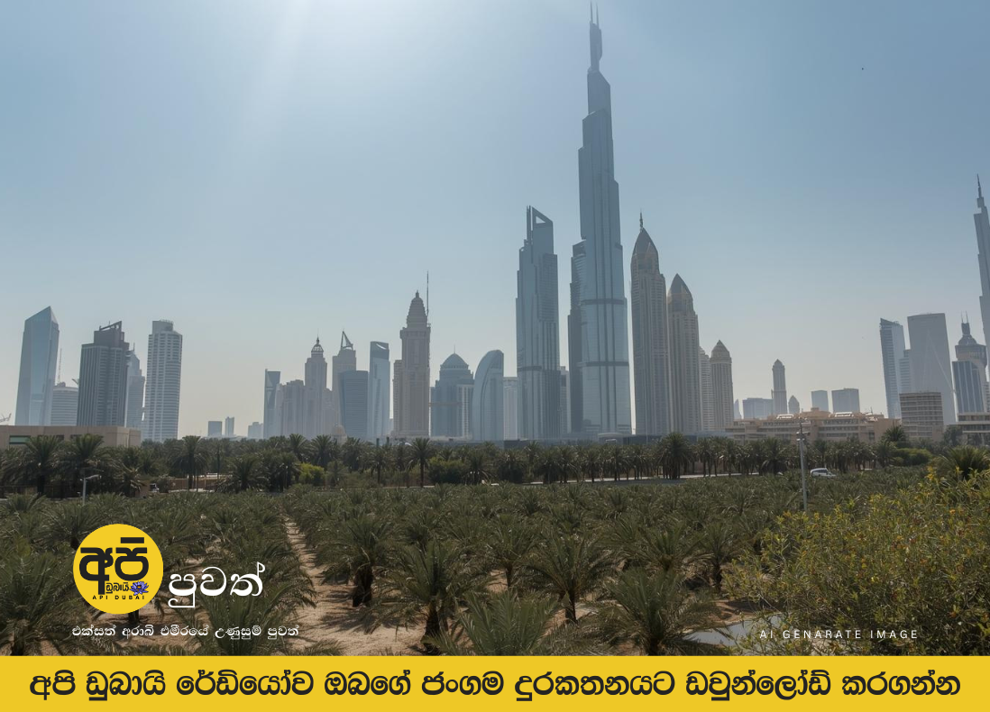 හෙට එක්සත් අරාබි එමීර් රාජ්‍යයේ කාලගුණය: උෂ්ණත්වය පහත වැටෙනු ඇත.