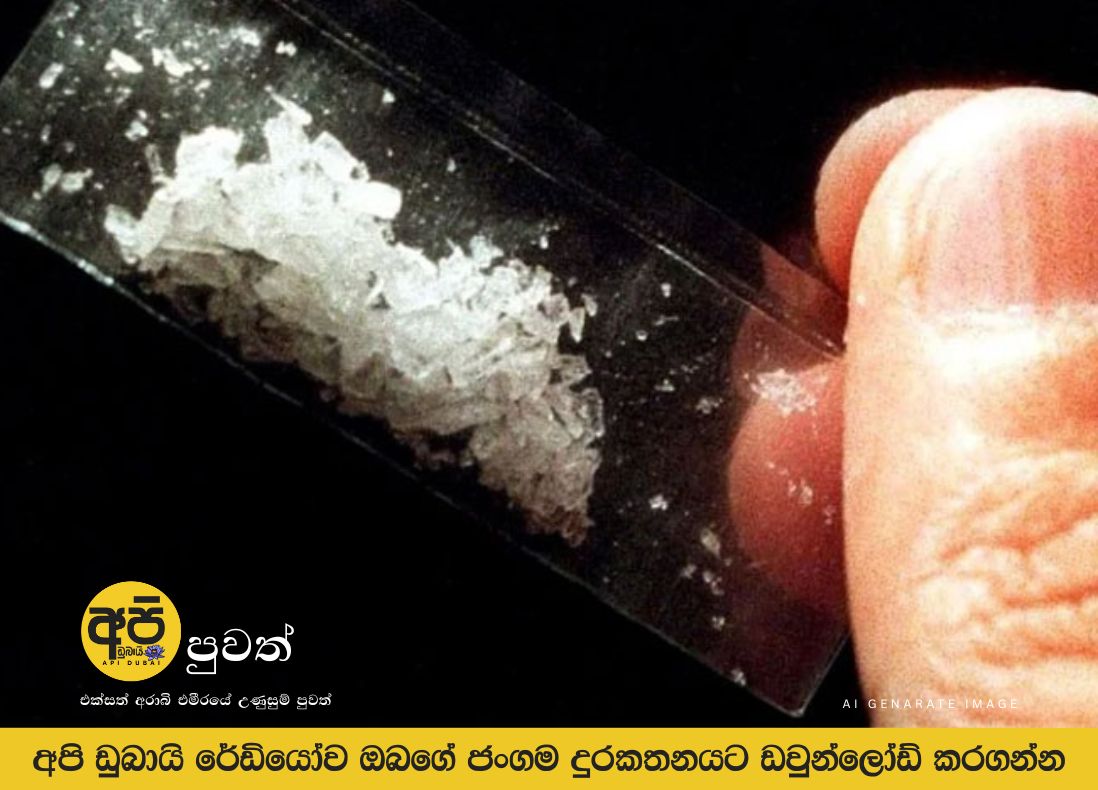 මිද්දෙණියෙන් අයිස් මත්ද්‍රව්‍ය අමුද්‍රව්‍ය කිලෝ 50,000ක් සොයාගනී