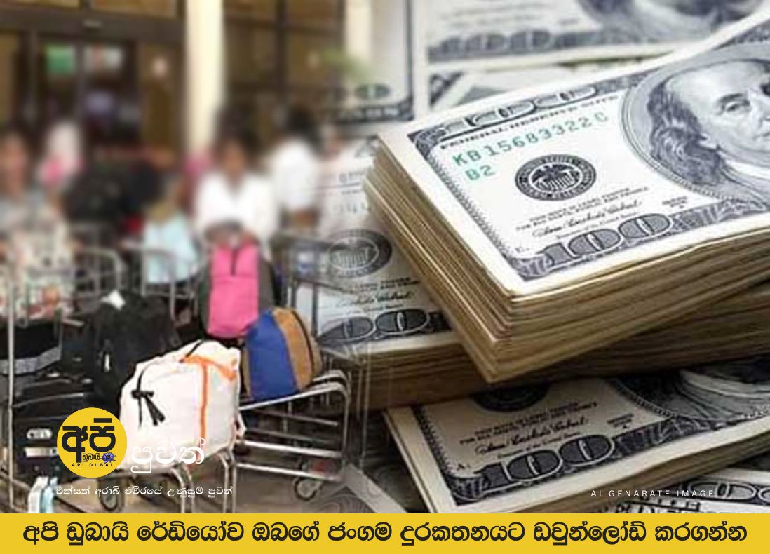 වසරේ මුල් මාස 8 තුළ ශ්‍රී ලංකා විදේශ ප්‍රේෂණ ඩොලර් බිලියන 5 ඉක්මවයි | Sri Lankan News