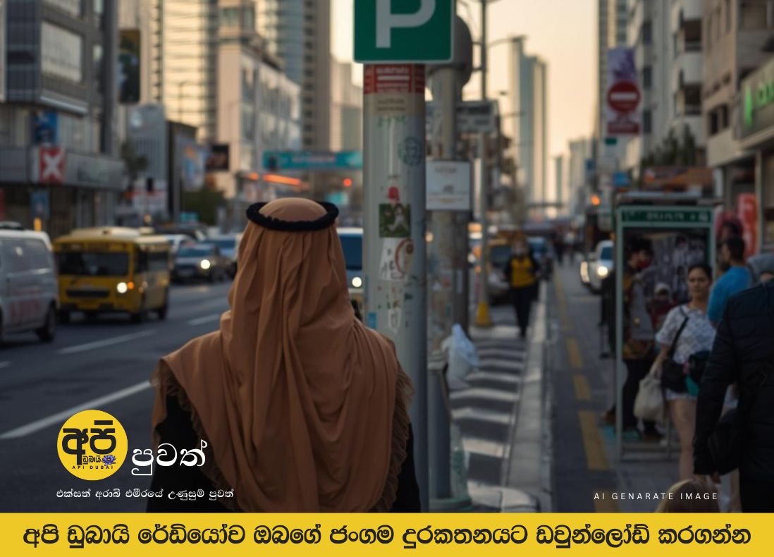 Sharjah announces 2 days of free public parking for New Year 2026