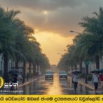 UAE weather: Rain, but with rising temperatures expected on Monday