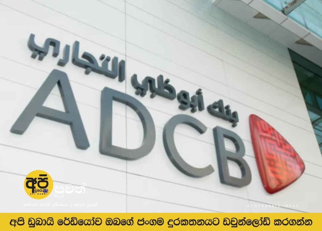 UAE banks and financial institutions face temporary service disruptions