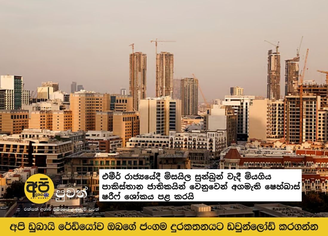 Prime Minister Shehbaz Sharif expresses condolences for Pakistanis killed in missile strike in UAE