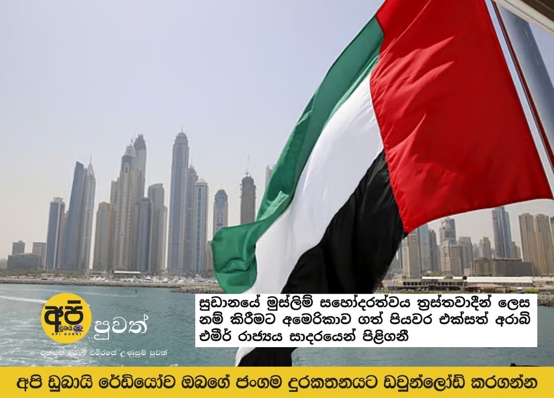 UAE welcomes US move to designate Sudan's Muslim Brotherhood as terrorists