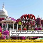 Dubai Miracle Garden: Free entry for emirate residents amid Iran war