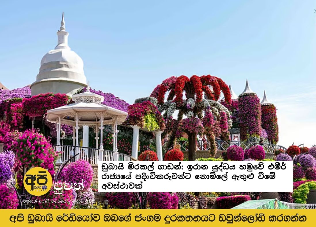 Dubai Miracle Garden: Free entry for emirate residents amid Iran war