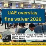 Emirates Visa Fee Waiver 2026: Who is Eligible? How to Check Your Status?