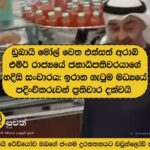 ඩුබායි මෝල් වෙත එක්සත් අරාබි එමීර් රාජ්‍යයේ ජනාධිපතිවරයාගේ හදිසි සංචාරය; ඉරාන ගැටුම මධ්‍යයේ පදිංචිකරුවන් ප්‍රතිචාර දක්වයි