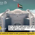 UAE says it is acting in self-defense after Iranian missile and drone attacks