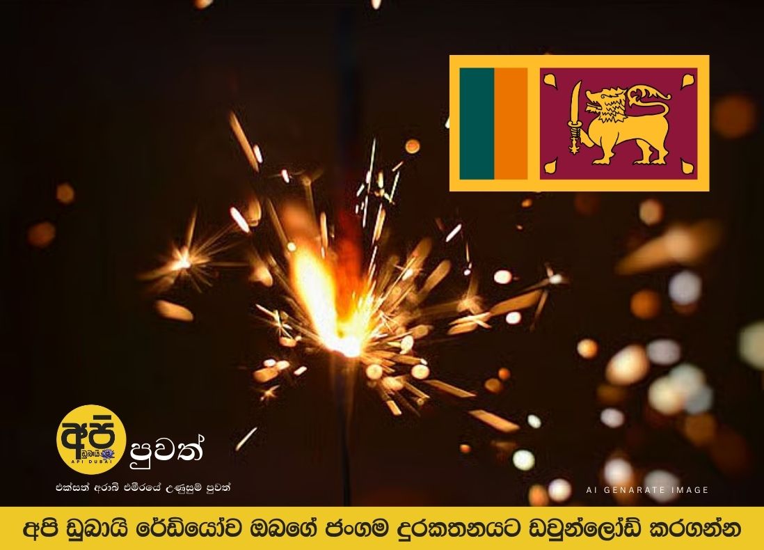 UAE: 100,000 dirham fine and one year in prison for illegal fireworks