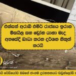නරඹන්න: එක්සත් අරාබි එමීර් රාජ්‍යය ඉරාන මිසයිල සහ ඩ්‍රෝන යානා මැද අහසේදී බාධා කරන දර්ශන නිකුත් කරයි