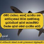 Special flights begin to evacuate US citizens from UAE, Saudi Arabia and Jordan