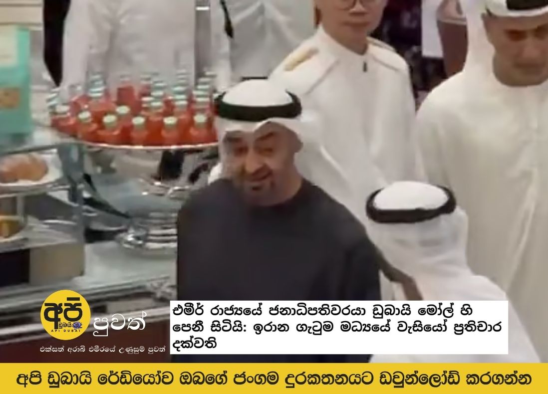 Emirati President appears at Dubai Mall: Residents react amid Iran standoff