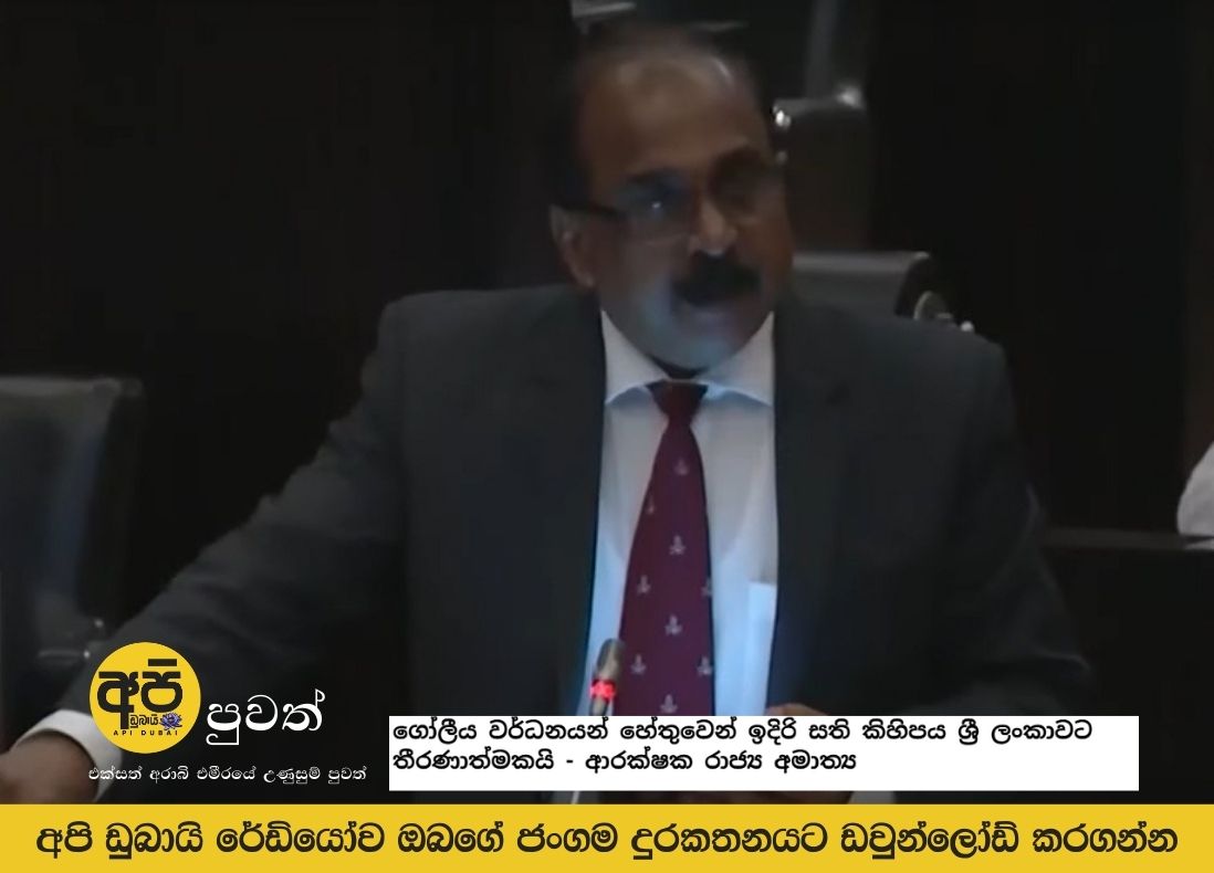 The next few weeks are crucial for Sri Lanka due to global developments - State Minister of Defense
