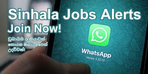 Sinhala jobs in Dubai